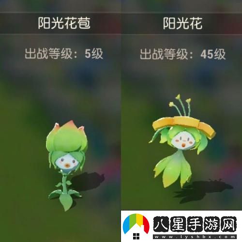 海島紀(jì)元寵物騎乘證獲取全攻略