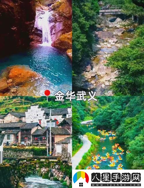 為什么“伊春園2023入口直達大象”成為游客們的新寵