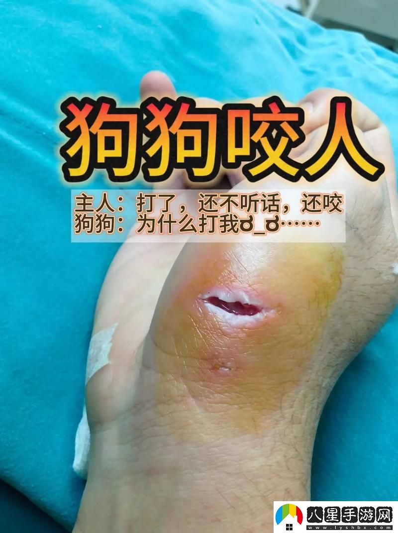 你知道“狗狗和人咬配方大全視頻”能帶給你和愛(ài)犬怎樣的飼養(yǎng)靈感嗎