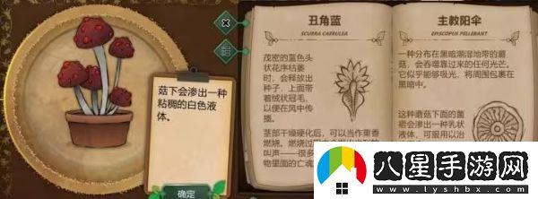 奇異園藝