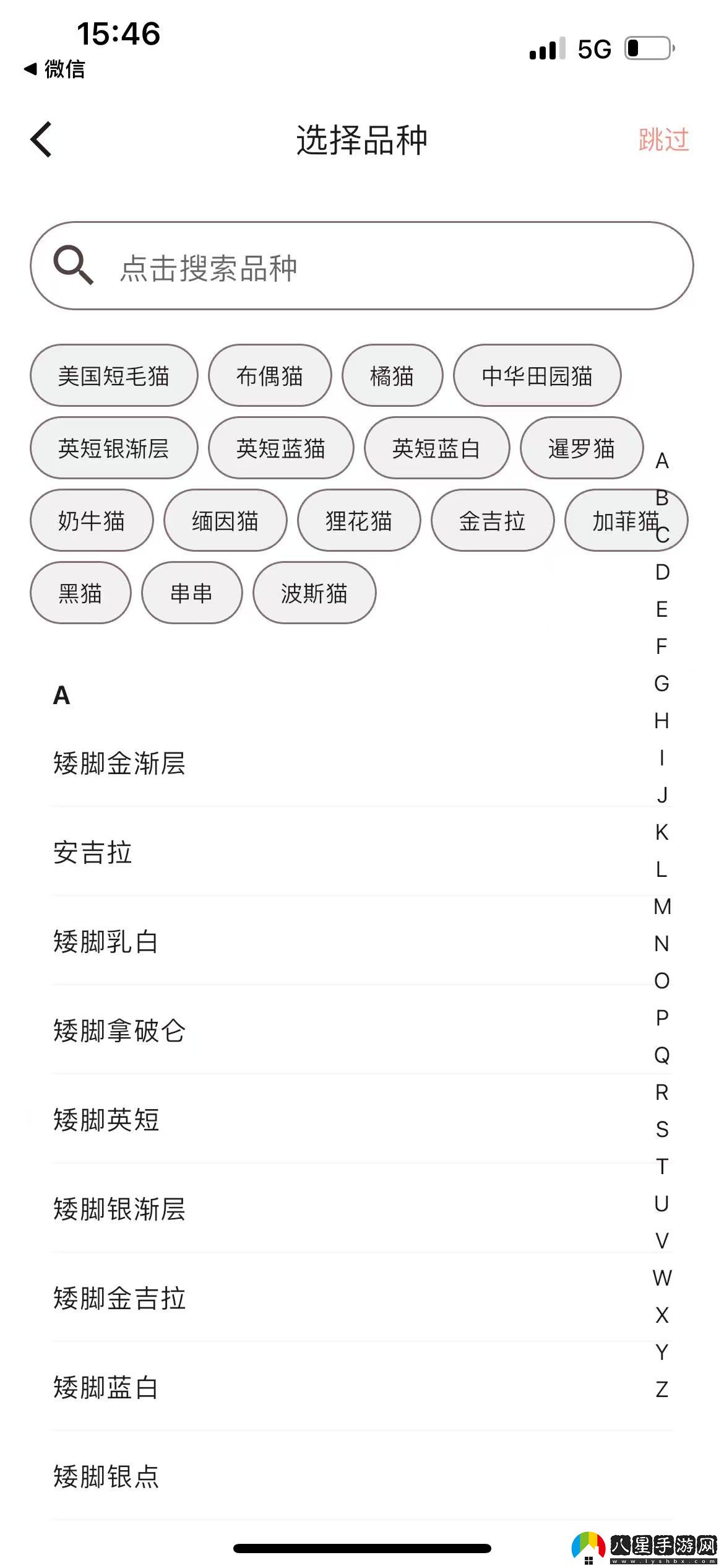 添加寵物5