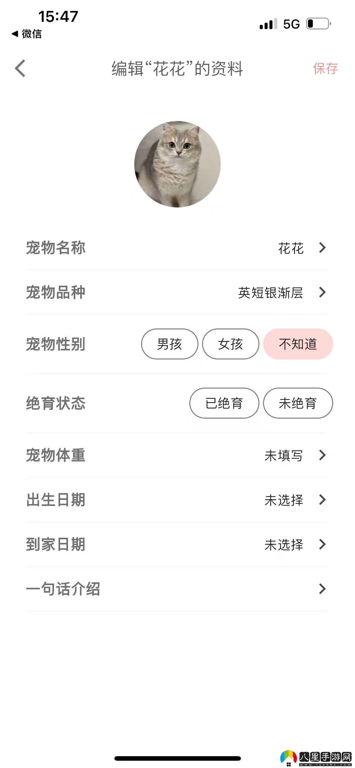 添加寵物6
